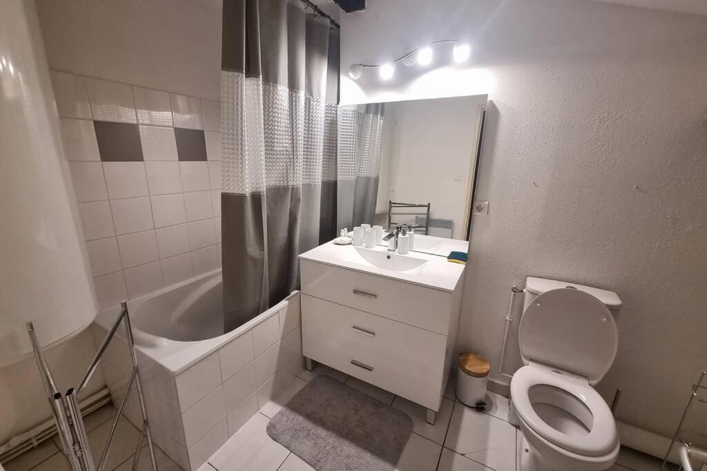 Appartement Exceptionnel 4 Etoiles Hyper Centre Albi 65 M2 Au 4Eme Etage Sans Ascenseur Avec Une Tour Du 12Eme Siecle 외부 사진